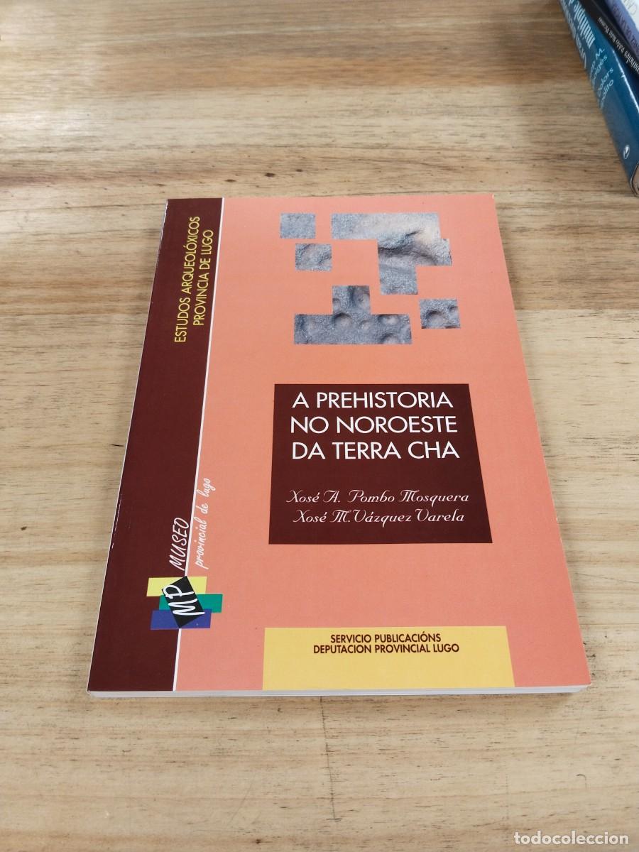 Libros de segunda mano: A Prehistoria no Noroes da Terra Cha -Xos&eacute; A. Pombo Mosquera / Xos&eacute; M. V&aacute;zquez Varela
