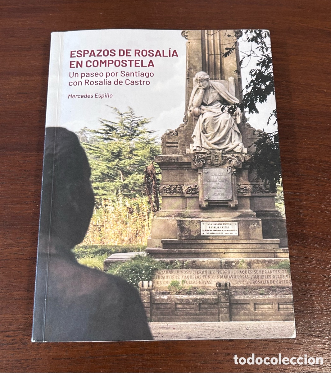 Second hand books: ESPAZOS DE ROSAL&Iacute;A EN COMPOSTELA. UN PASEO POR SANTIAGO CON ROSAL&Iacute;A DE CASTRO. MERCEDES ESPI&Ntilde;O