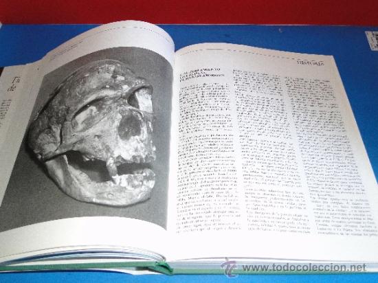 Libros de segunda mano: CANARIAS. --V.V.A.A. - Foto 3