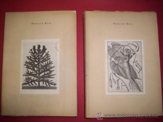 Libri di seconda mano: RU&Iacute;Z, Hip&oacute;lito - Relaci&oacute;n hist&oacute;rica del viage, que hizo a los reynos del Per&uacute; y Chile el bot&aacute;nico...