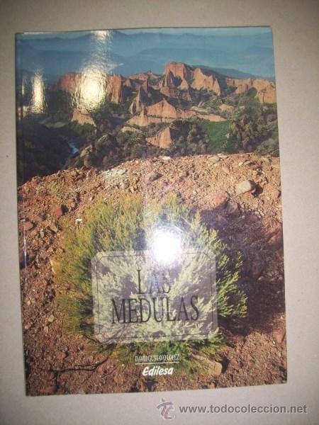 Libros de segunda mano: L&Oacute;PEZ, David Gustavo. Las M&eacute;dulas - Foto 1