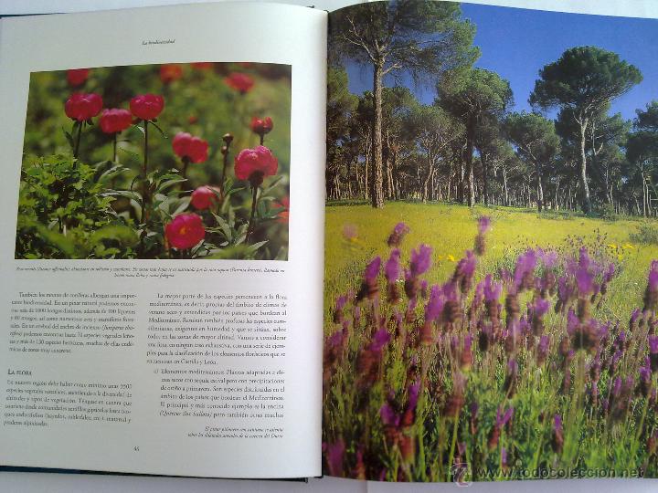 Libros de segunda mano: LOS BOSQUES DE CASTILLA Y LE&Oacute;N - Foto 2