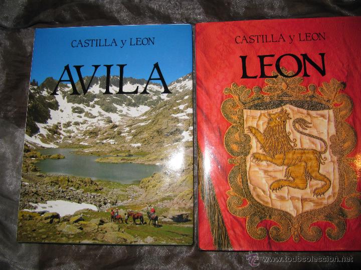 Libros de segunda mano: LOTE 2 LIBROS CASTILLA Y LEON -AVILA Y LEON