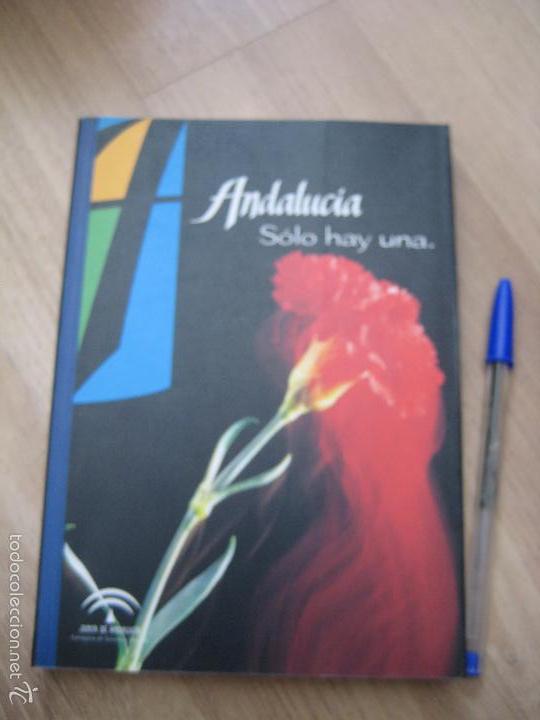 Gebrauchte B&uuml;cher: ANDALUCIA SOLO HAY UNA - GUIA DE VIAJE - RUTAS - MAPAS - HOTELES - GASTRONOMIA - COCINA