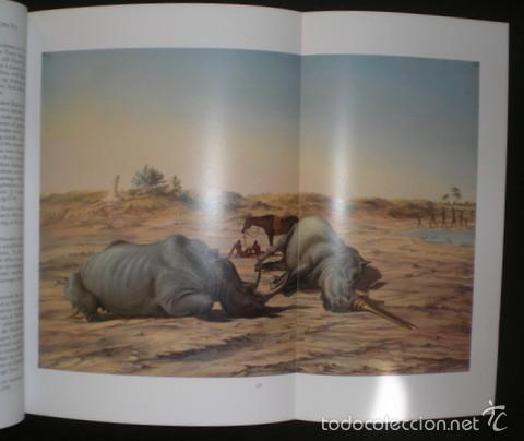 Libri di seconda mano: Christie's Auction: Exploration & Travel, 20th Century South African Paintings. EXPLORACI&Oacute;N, VIAJES