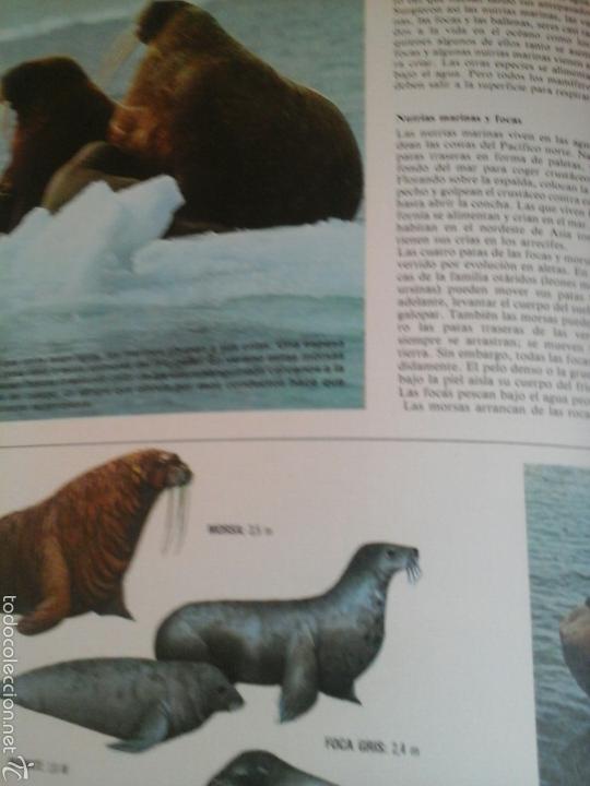 Libros de segunda mano: Los oceanos - Foto 1