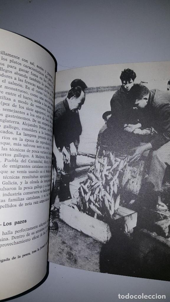 Libros de segunda mano: GALICIA - BASILIO LOSADA - 1969 - ED. TABER - Foto 6