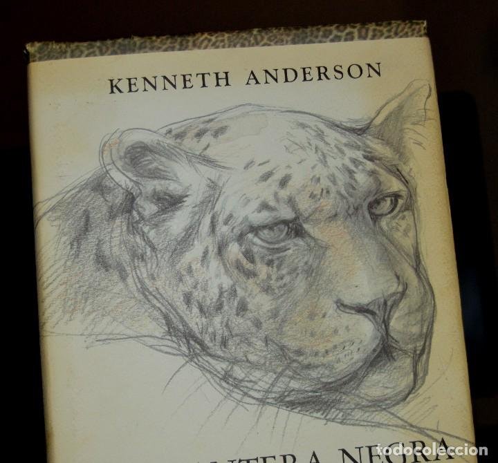 Kenneth Anderson La Pantera Negra De Sivanipa Vendido En Venta Directa