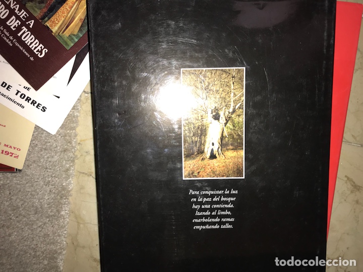 Libros de segunda mano: Huelva. Serran&iacute;a de luz - Foto 2