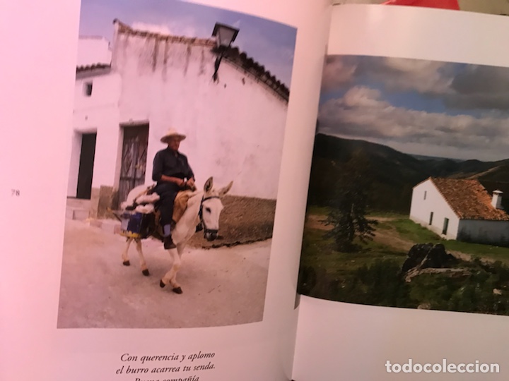Libros de segunda mano: Huelva. Serran&iacute;a de luz - Foto 5