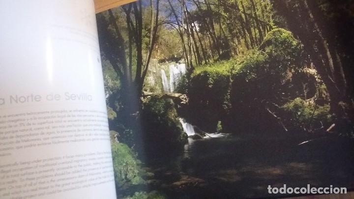 Libros de segunda mano: Andaluc&iacute;a. Peter Manschot - Foto 2