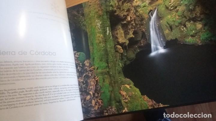 Libros de segunda mano: Andaluc&iacute;a. Peter Manschot - Foto 3