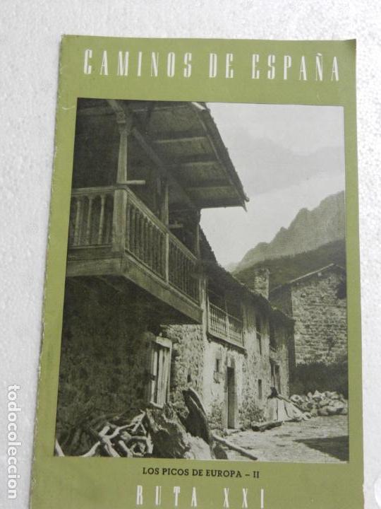 Libri di seconda mano: CAMINOS DE ESPA&Ntilde;A LOS PICOS DE EUROPA-II. RUTA XXI.