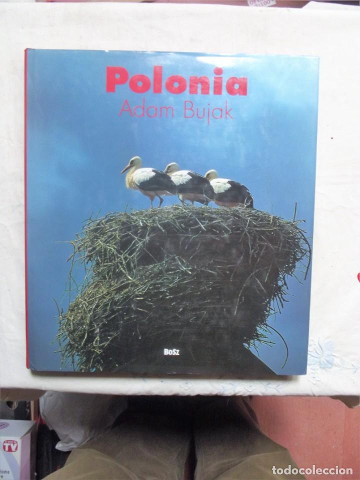 Gebrauchte B&uuml;cher: POLONIA DE ADAM BUJAK