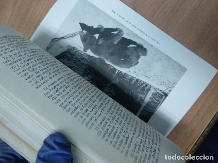 Libros de segunda mano: LA INDIA DE AYER Y DE HOY - VV.AA. - Foto 4