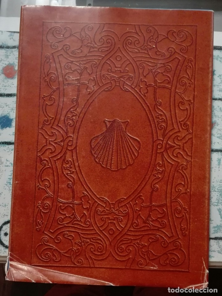 Gebrauchte B&uuml;cher: Nicola Albani. Viaje de N&aacute;poles a Santiago. 1993