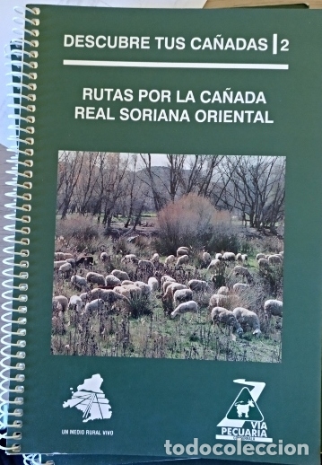 Libri di seconda mano: RUTAS POR LA CA&Ntilde;ADA REAL SORIANA ORIENTAL. DESCUEBRE TUS CA&Ntilde;ADAS 2. -