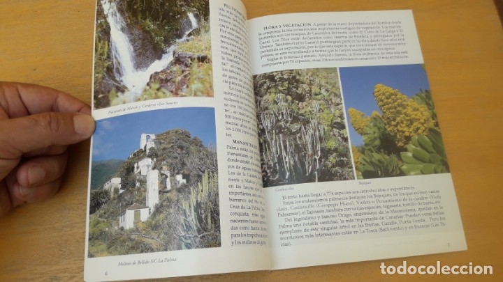Libros de segunda mano: ISLA de LA PALMA. CANARIAS. - Foto 4