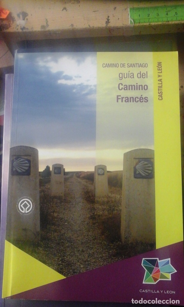 Libros de segunda mano: CAMINO DE SANTIAGO. GU&Iacute;A DEL CAMINO FRANC&Eacute;S (Le&oacute;n, 2010)