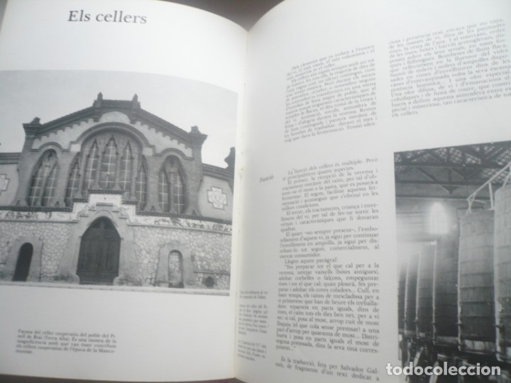 Libros de segunda mano: Els vins de Catalunya - Foto 3