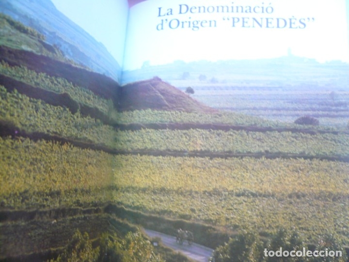 Libros de segunda mano: Els vins de Catalunya - Foto 7