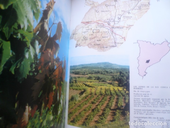 Libros de segunda mano: Els vins de Catalunya - Foto 9