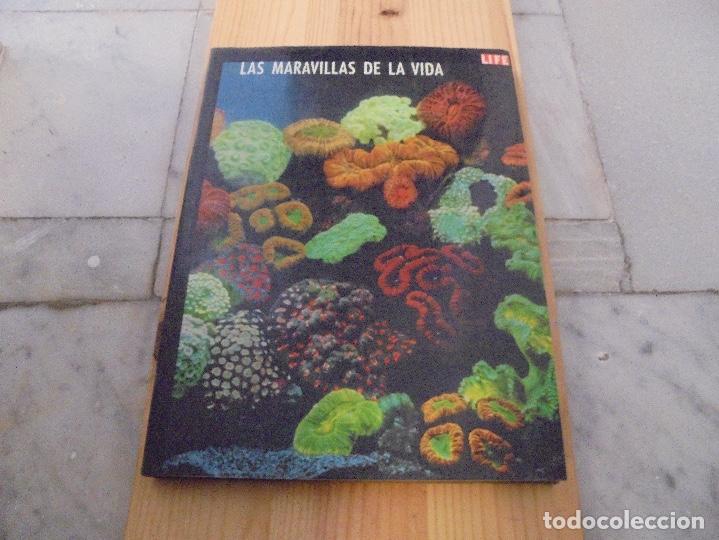 Libros de segunda mano: LAS MARAVILLAS DE LA VIDA - Foto 1