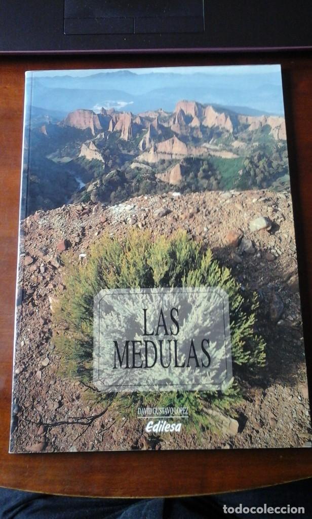 Libros de segunda mano: LAS M&Eacute;DULAS (Le&oacute;n, 1993) - Foto 1