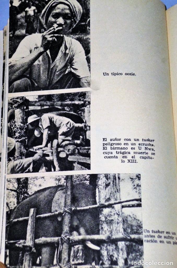Libros de segunda mano: BILL DE LOS ELEFANTES - Foto 3