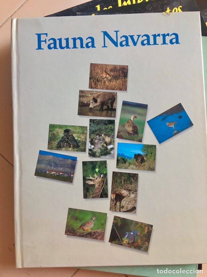 Second hand books: FAUNA NAVARRA