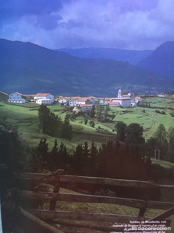 Libros de segunda mano: IMAGEN DE NAVARRA: Soledad Pu&eacute;rtolas - Foto 2