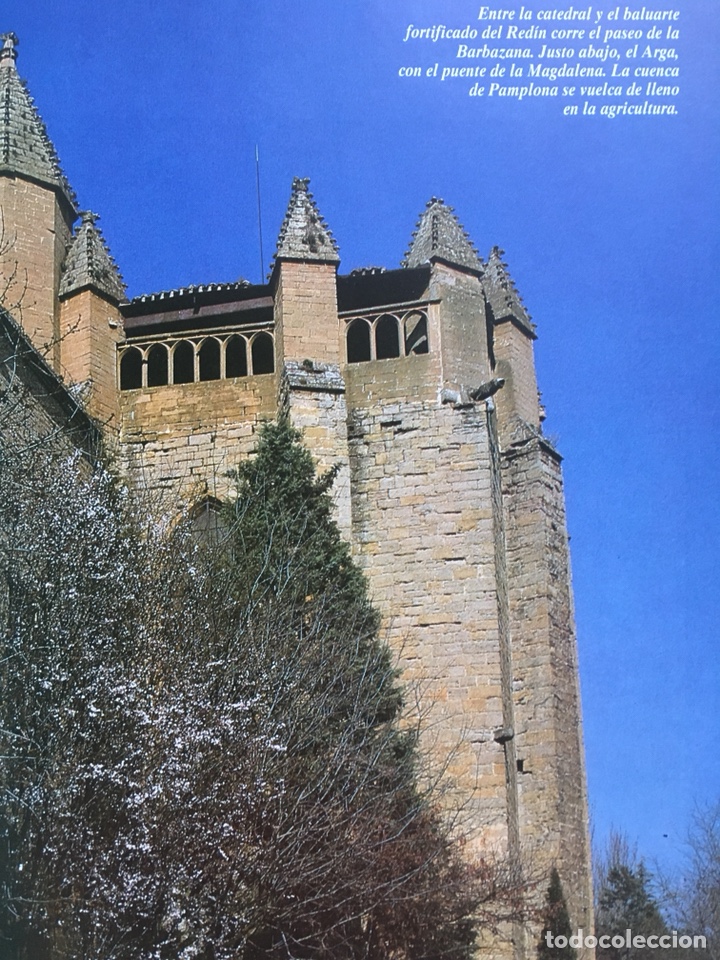Libros de segunda mano: IMAGEN DE NAVARRA: Soledad Pu&eacute;rtolas - Foto 3