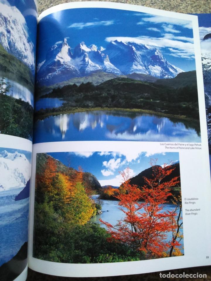 Libros de segunda mano: CHILE -- EDITORIAL KACTUS -- - Foto 2