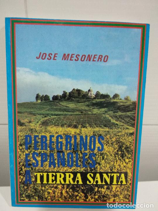 Libros de segunda mano: PEREGRINOS ESPA&Ntilde;OLES A TIERRA SANTA