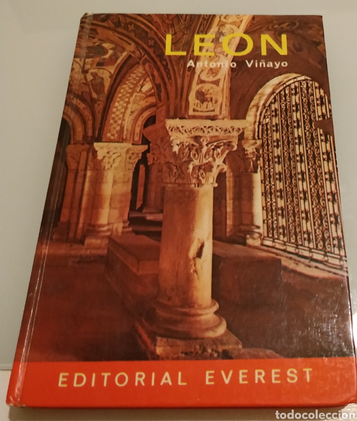 Libros de segunda mano: Leon Antonio Vi&ntilde;ayo