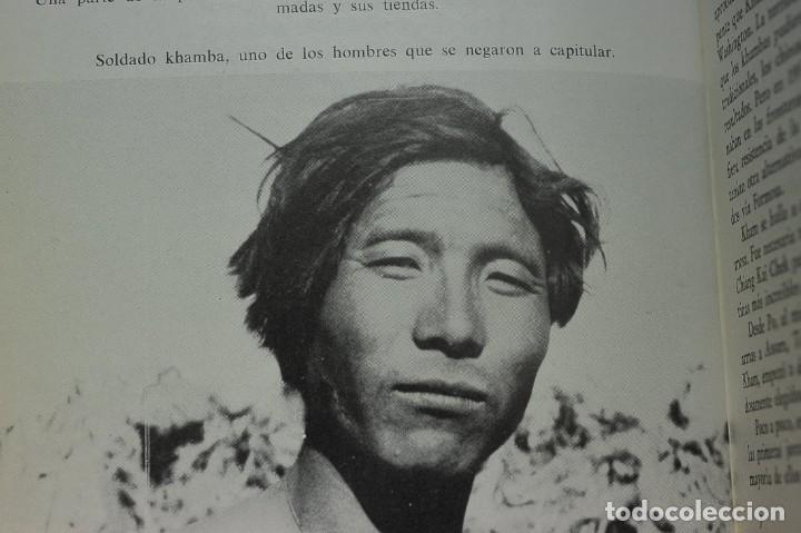 Libros de segunda mano: Los Khambas. Michel Peissel - Foto 3