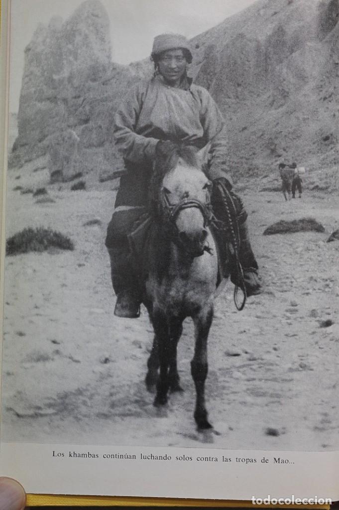 Libros de segunda mano: Los Khambas. Michel Peissel - Foto 6