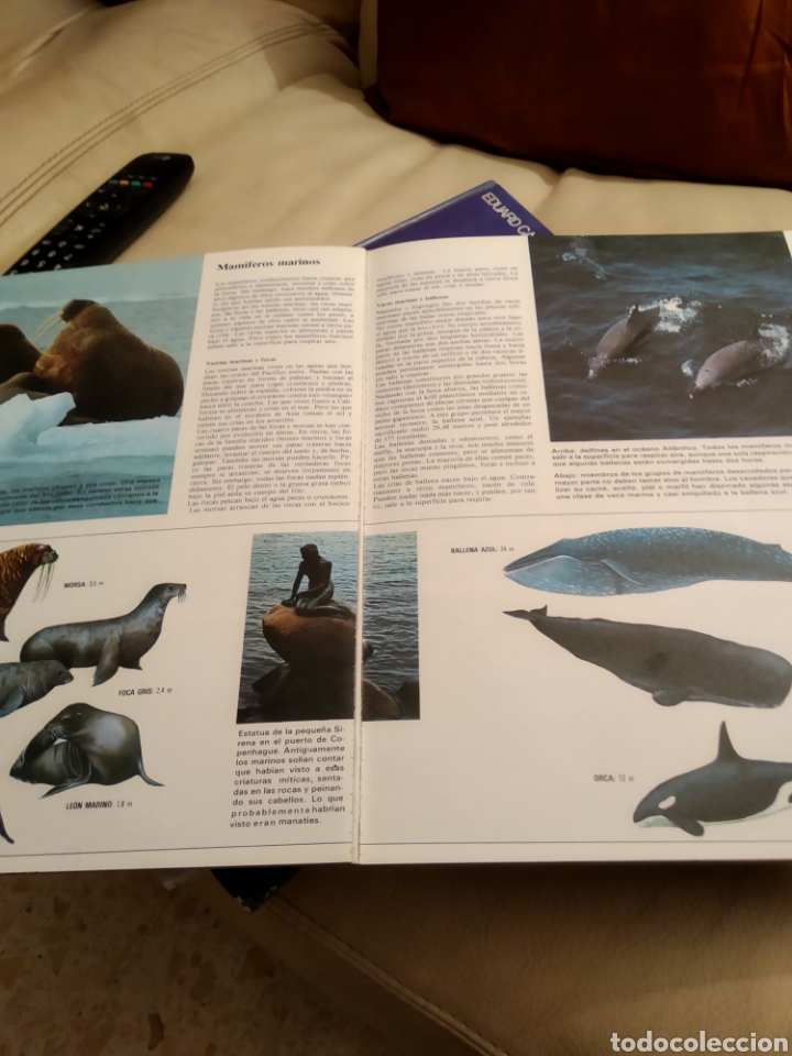 Libros de segunda mano: Los oceanos - Foto 2