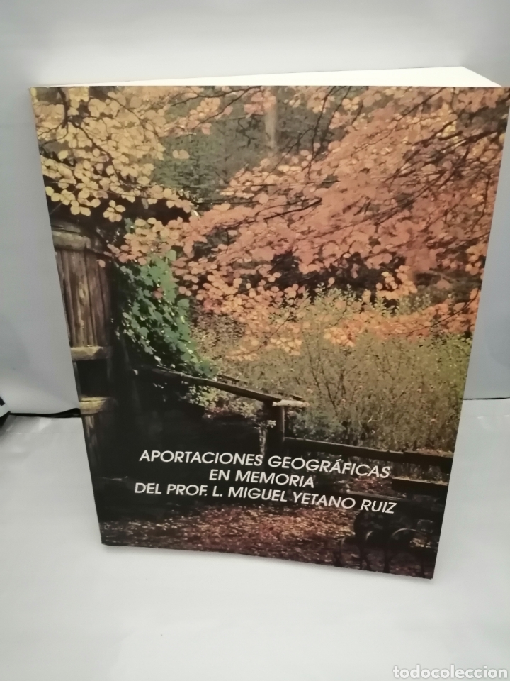 Libri di seconda mano: APORTACIONES GEOGR&Aacute;FICAS EN MEMORIA DEL PROFESOR L. MIGUEL YETANO RUIZ