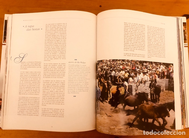 Libros de segunda mano: &rdquo;Fiestas de Espa&ntilde;a&rdquo; Edici&oacute;n FCC - Foto 24