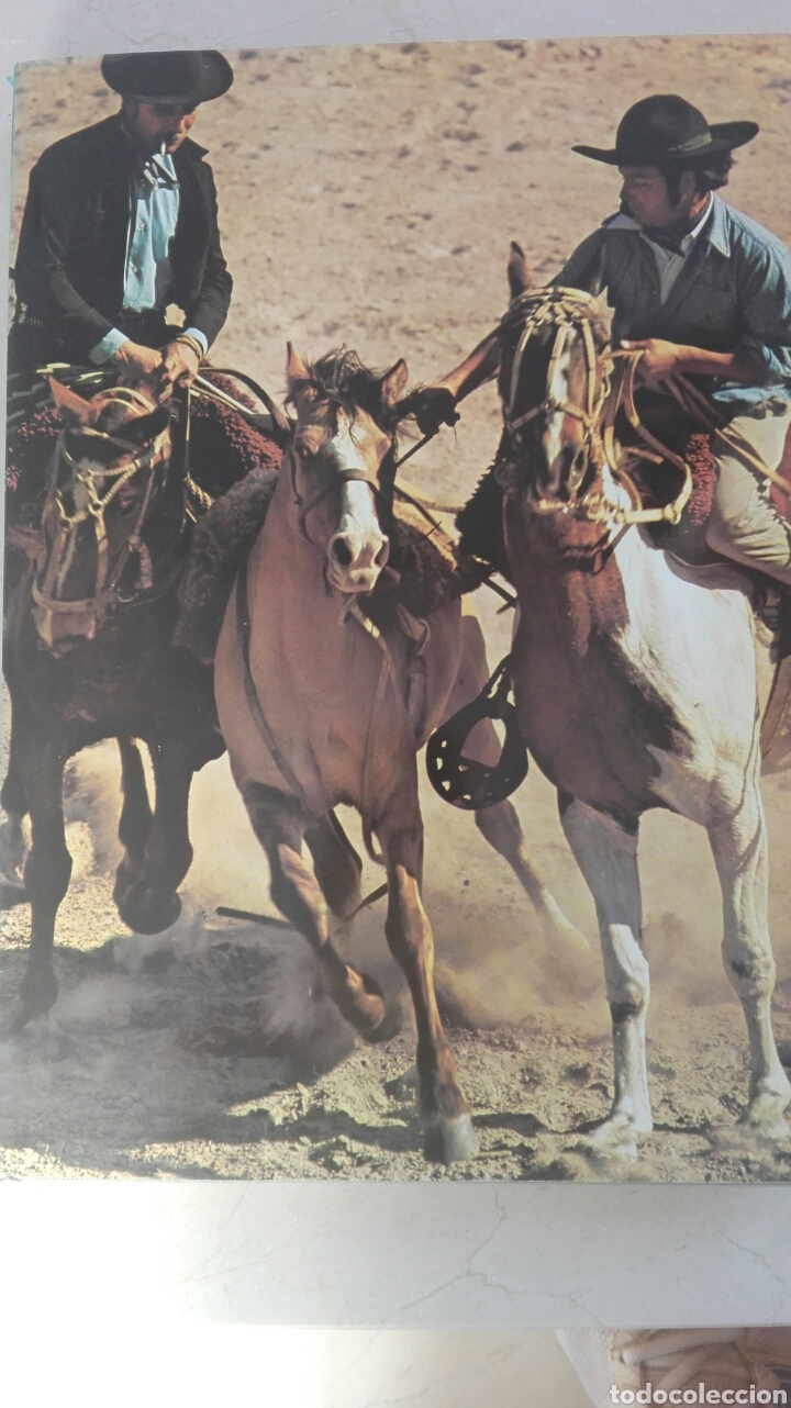 Libros de segunda mano: L' ARGENTINA. Fotos y descripciones