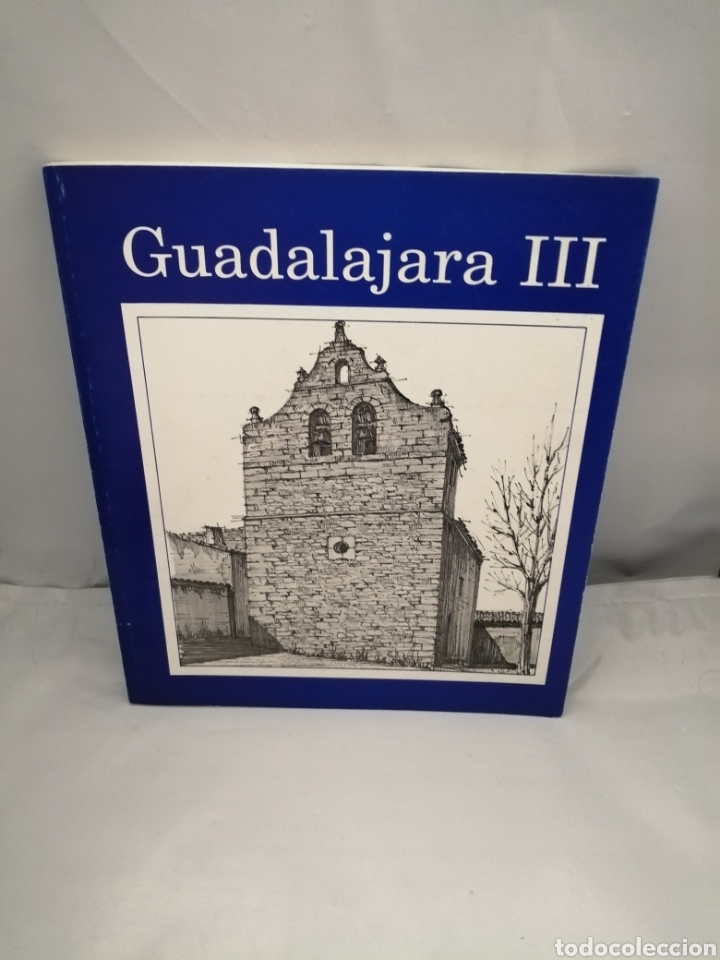Libri di seconda mano: GU&Iacute;A PRIVADA DE PUEBLOS DE ESPA&Ntilde;A VIII: PROVINCIA DE GUADALAJARA III