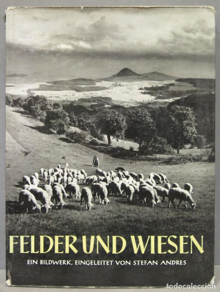 Gebrauchte B&uuml;cher: Felder und Wiesen. Ein Bildwerk. eingeleitet von Stefan Andres Deutsche Heimat. ANRES