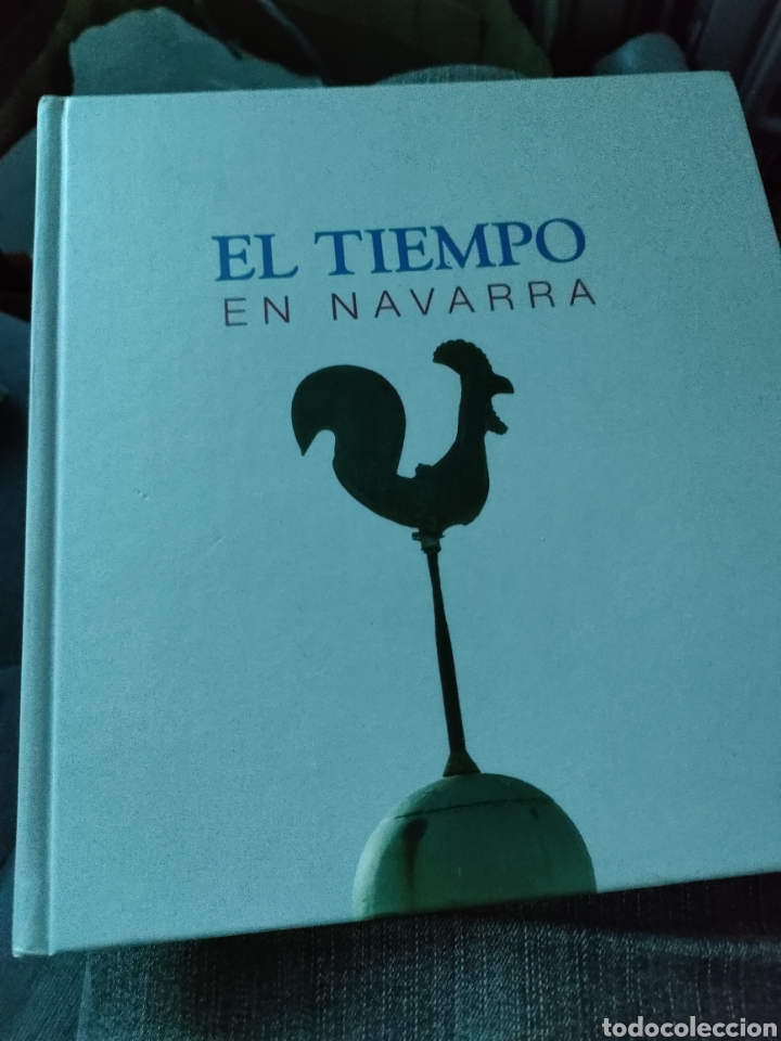 Libros de segunda mano: El tiempo en Navarra temas de Navarra Javier Mar&iacute;a Pejenaute Go&ntilde;i Nuevo