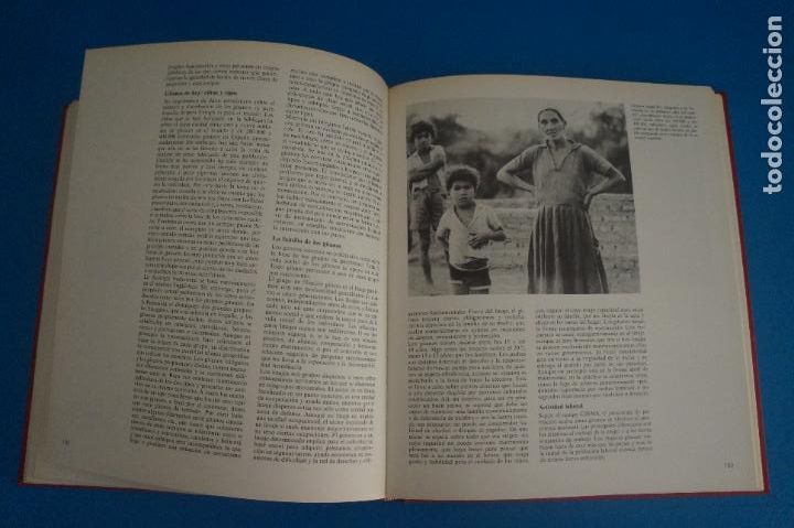 Libros de segunda mano: LIBRO DE LAS RAZAS HUMANAS 2 A&Ntilde;O 1981 DE EDICIONES DE CIESA - Foto 6