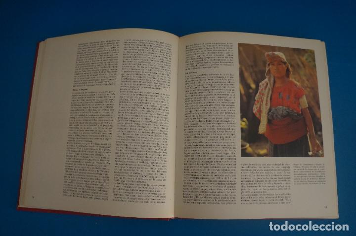 Libros de segunda mano: LIBRO DE LAS RAZAS HUMANAS 4 A&Ntilde;O 1981 DE EDICIONES DE CIESA - Foto 3