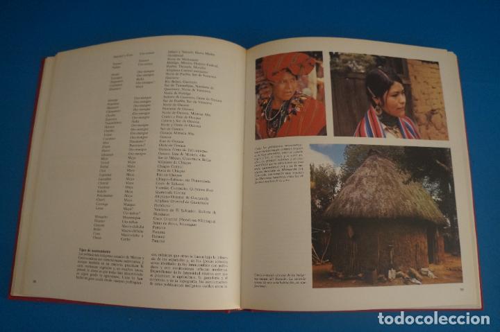 Libros de segunda mano: LIBRO DE LAS RAZAS HUMANAS 4 A&Ntilde;O 1981 DE EDICIONES DE CIESA - Foto 4