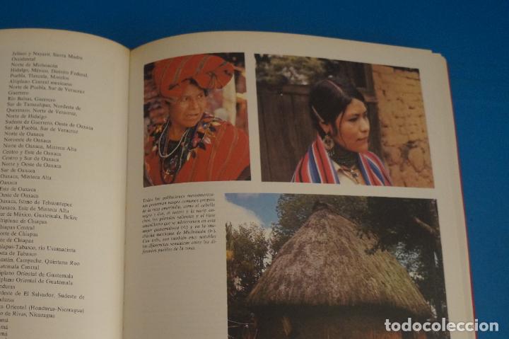 Libros de segunda mano: LIBRO DE LAS RAZAS HUMANAS 4 A&Ntilde;O 1981 DE EDICIONES DE CIESA - Foto 5