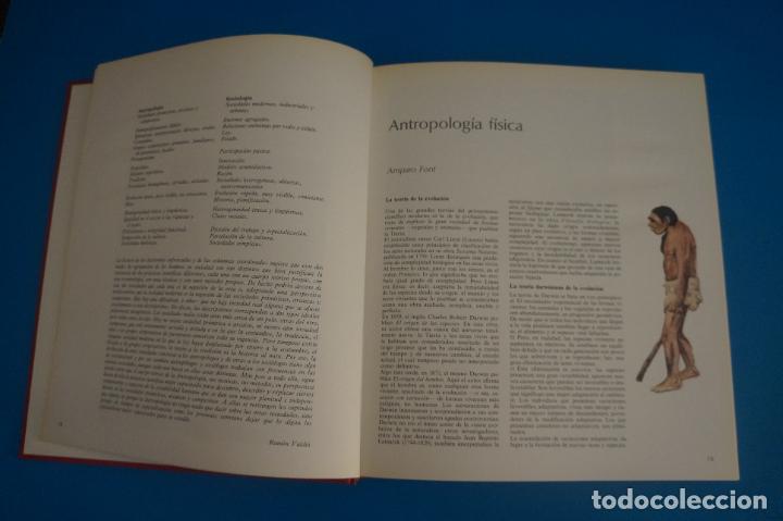 Libros de segunda mano: LIBRO DE LAS RAZAS HUMANAS 1 A&Ntilde;O 1981 DE EDICIONES DE CIESA - Foto 3