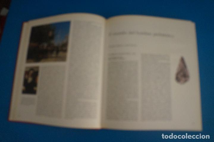 Libros de segunda mano: LIBRO DE LAS RAZAS HUMANAS 1 A&Ntilde;O 1981 DE EDICIONES DE CIESA - Foto 4